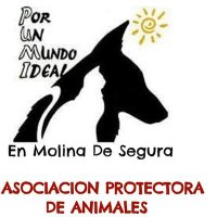 Por Un Mundo Ideal (@pumid_ms) 's Twitter Profile