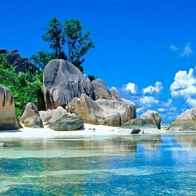 miship's profile picture. 