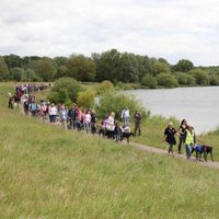 GG Greyhound Walk (@gggw2017) 's Twitter Profile