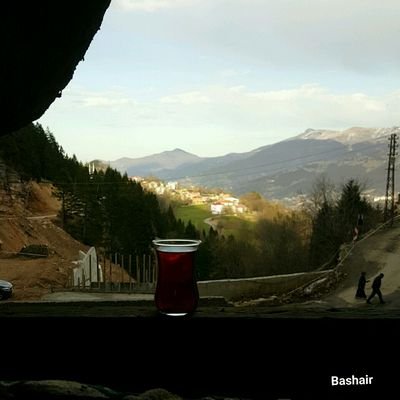 beshosalem's profile picture. 