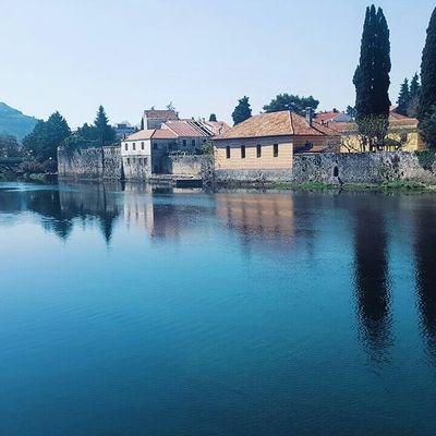 saimeaydogan121's profile picture. 