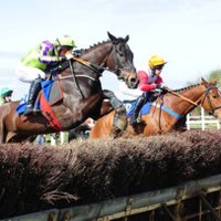 Donnelly Bloodstock (@dbloodstock) 's Twitter Profile
