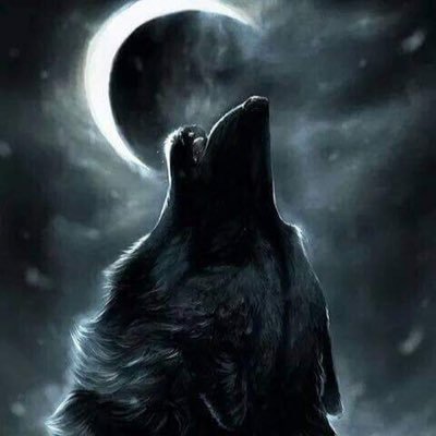 Lonewolfva69's profile picture. 