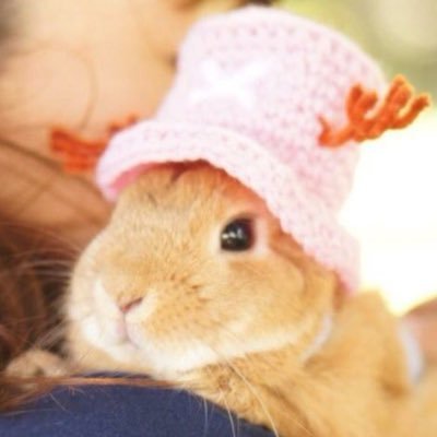 チビ太CHIBITA(🐰♂12y/o）を溺愛するママ太です。ハンドメイド販売しています。オーダーのご相談も受けています！living w/ 12yrs old bunny - CHIBITA, weekend creator.