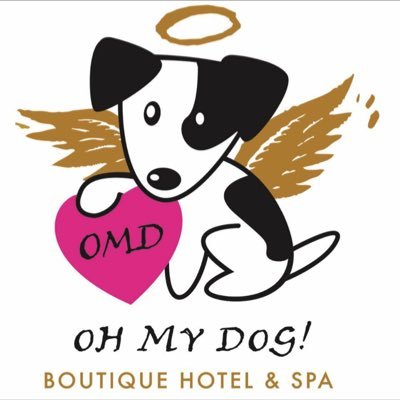 Oh My Dog Boutique Hotel 🐶🏩🌴 is now open in Old Town Scottsdale! Now Booking room reservations and Day Play sessions! #omdbh