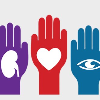 donacion_2017's profile picture. 