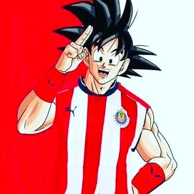 orgulloso 12 veces campeon, seguidor de  Chivas de hueso colorado hasta el tuétano | también seguidor de ChichaGol y Real Madrid.