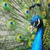 Madhu Divakaran (@madhudivakaran) Twitter profile photo Madhu Divakaran (@madhudivakaran) Twitter profile photo