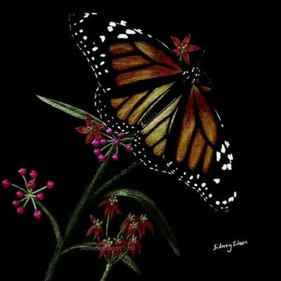 hemahema1206's profile picture. i love being with my paint brushes and working ➡ artist❤ and btw im a 1Directioner
Could please take a look at pinned tweet&rt  please thank you love❤