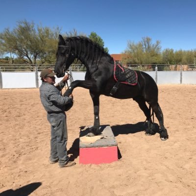 LuisBetoTrujil1's profile picture. 