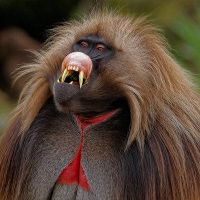 ghangklav's profile picture. 