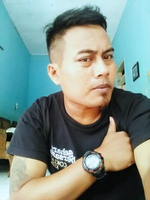 elsoed zenit Profile