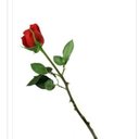 BEATRICE BENJAMIN - @benjaminbeaty - Twitter