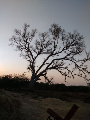 AshokAw47072152's profile picture. Women & NGOs