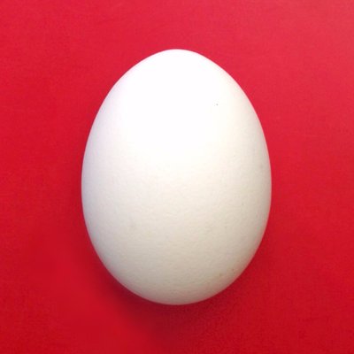 アイコン卵 Egggism Twitter