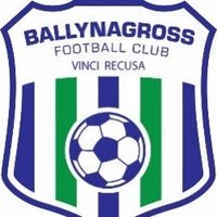 Ballynagross FC (@ballynagrossfc) 's Twitter Profile