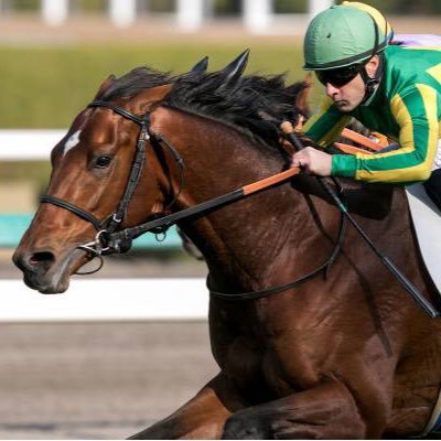 クロブ、競馬、mtgアリーナ.マスターデュエル