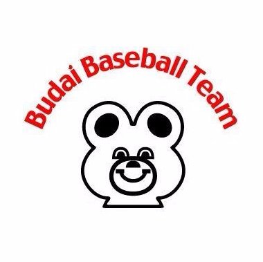 ibu_baseball89 Profile Picture