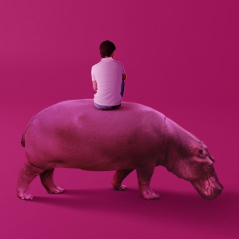 The Hippopotamus   -  2