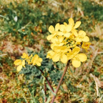 Koreashop0628's profile picture. 