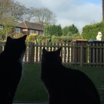 RaychyRach's profile picture. I'm fearful of flying and flying is fearful of me