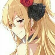 セリカ アルフォネア C Alfonea Twitter セリカ アルフォネア C Alfonea Twitter