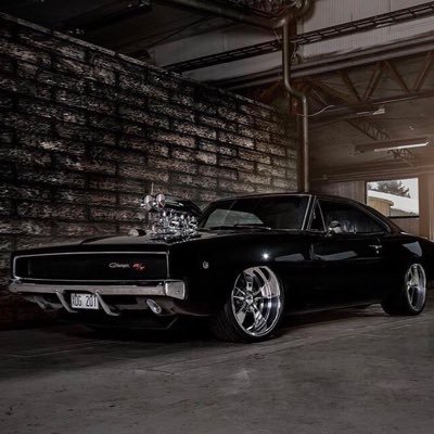 tiny_bux's profile picture. 