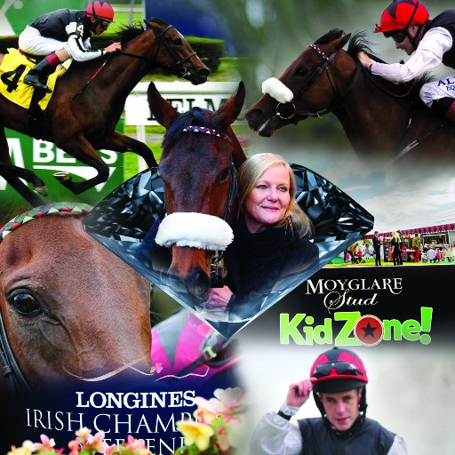 Moyglare Stud