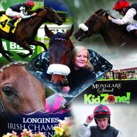 Moyglare Stud(@MoyglareStud) 's Twitter Profile Photo