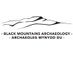 Black Mountains Arch (@BMArchaeology) Twitter profile photo