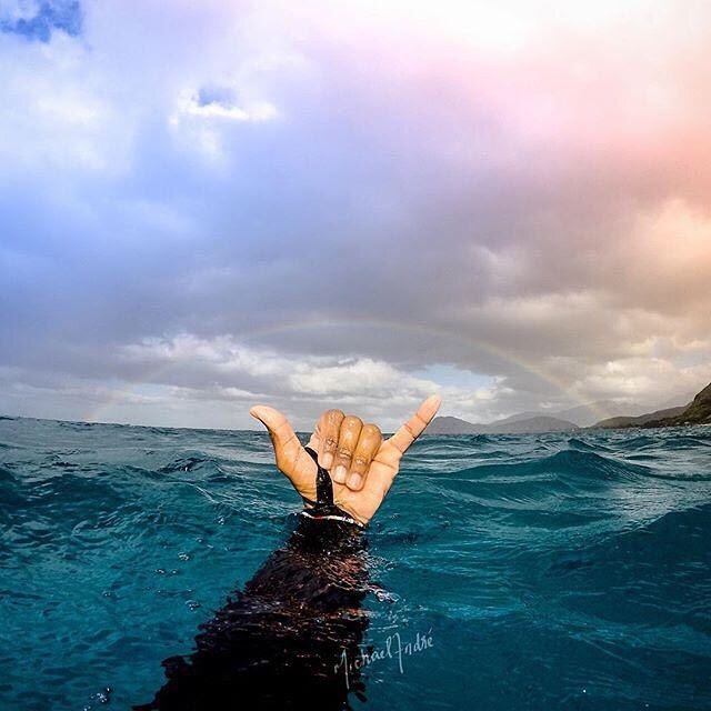 olisnow34's profile picture. 