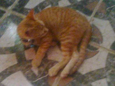 CNacinqui's profile picture. Televisión Programas de TV Deportes Notícia Música