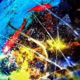 雨野 On Twitter 検索用 交換 譲渡 コロプラフェス 缶バッジ ポストカード くじ 黒猫 白猫 エレノア ルミエ アンジェラ ユーリエ ハーブ ガレア メルヴィン ネモ レクト レグル テーラ ピリア ジーク ルヴァル プルミエ ヴェレフキナ シミラル リュディ ユウェル