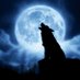Lonely8Wolf (@lonely8wolf) Twitter profile photo Lonely8Wolf (@lonely8wolf) Twitter profile photo