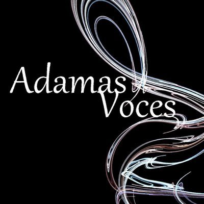 AdamasVoces's profile picture. Ad hoc 'hire a choir' based in Wales.