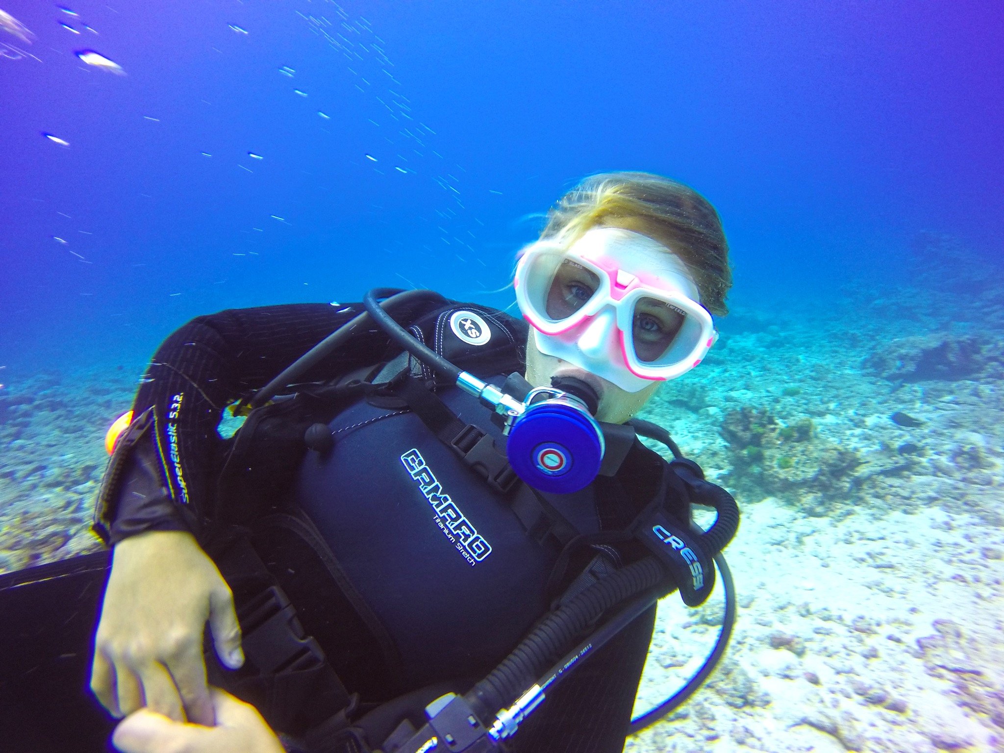 Roses are red, the ocean is blue,
unless there's a thermocline,
but I love diving in those too.