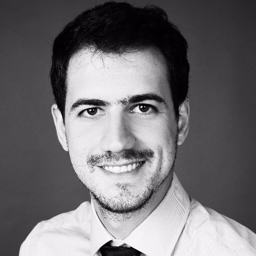 PhD Engineering; Co-Founder at Cleedee; Software Engineering; Researcher in Structural Dynamics and Nonlinear Stochastic Systems