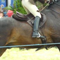 Machen Show (@machenshow) 's Twitter Profile