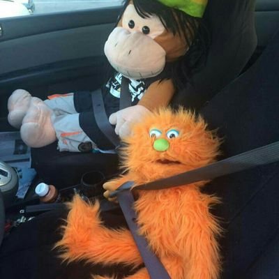 The kind of puppet that will get in your liquor cabinet and loves the Cleveland Browns #cookies