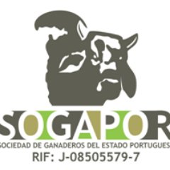 Sociedad de Ganaderos del Estado Portuguesa.
                   Av. 5 de Diciembre entre Av. 16 y 17 local Sogapor Nro. S/N, Sector Los Caobos. 0255-6239289.