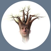 TREE60 (@tree60music) 's Twitter Profile