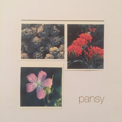 Punk/Emo band from Quakertown, PA.