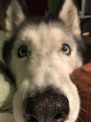 BrookeG28445237's profile picture. 