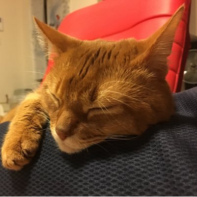 kaitatsu1983's profile picture. あんまり更新しません笑 インスタばっか💦 ゲームとミニ四駆、パチンコ用