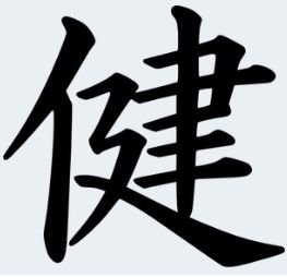 Shidoufit_NLD's profile picture. Personal trainer with very creative methods !