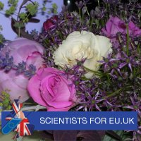 Baroness Sue Key 🇪🇺Rejoin#FBPE🌹🇺🇦🦋 (@suekey57) 's Twitter Profile