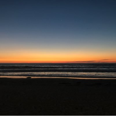 felicol's profile picture. 