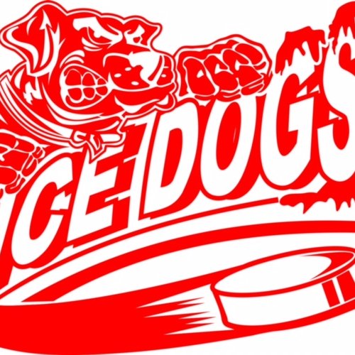 Official Twitter Page of the Newfoundland Ice Dogs Hockey Program. Powered by @truetemperhcky