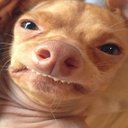 Hannah Sheets - @HannahSheets8 - Twitter