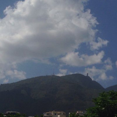 GrldnTrd's profile picture. ✨ Solo sé que no sé nada